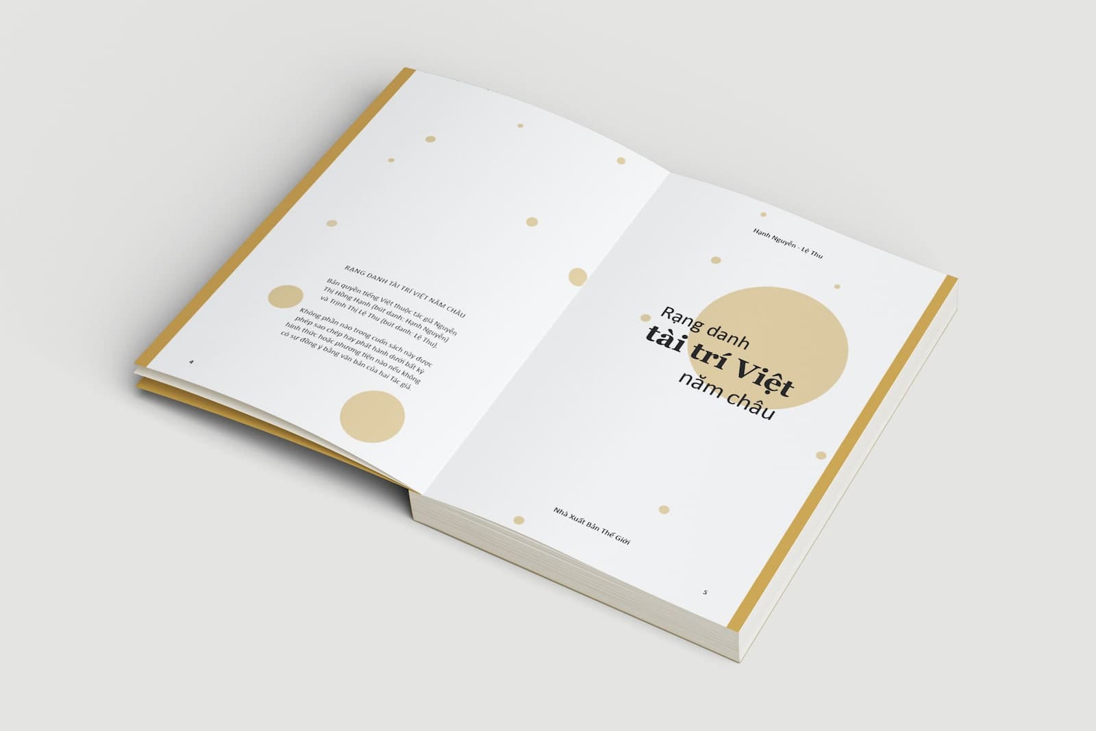 Rạng danh tài trí Việt năm châu - ảnh 4