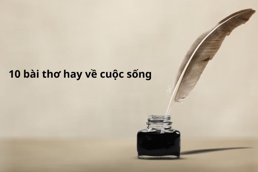 thơ hay về cuộc sống
